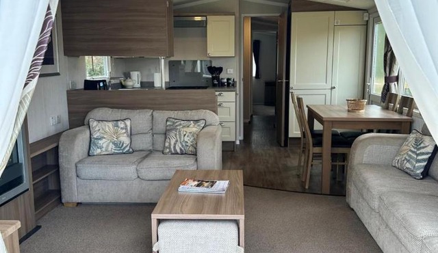 Swift Bordeaux 56