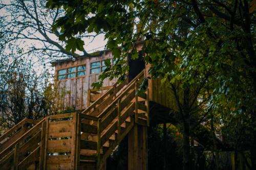 The Treehouse