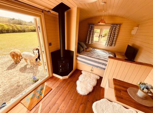 The Woolly Retreat Alpaca shepherds hut