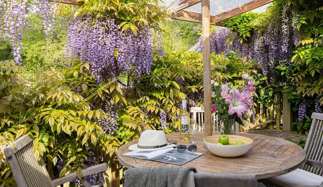 Wisteria Suite at Fingals - sleeps 4 guests in 2 bedrooms