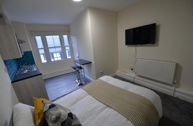 Spacious Studio City Centre (3)