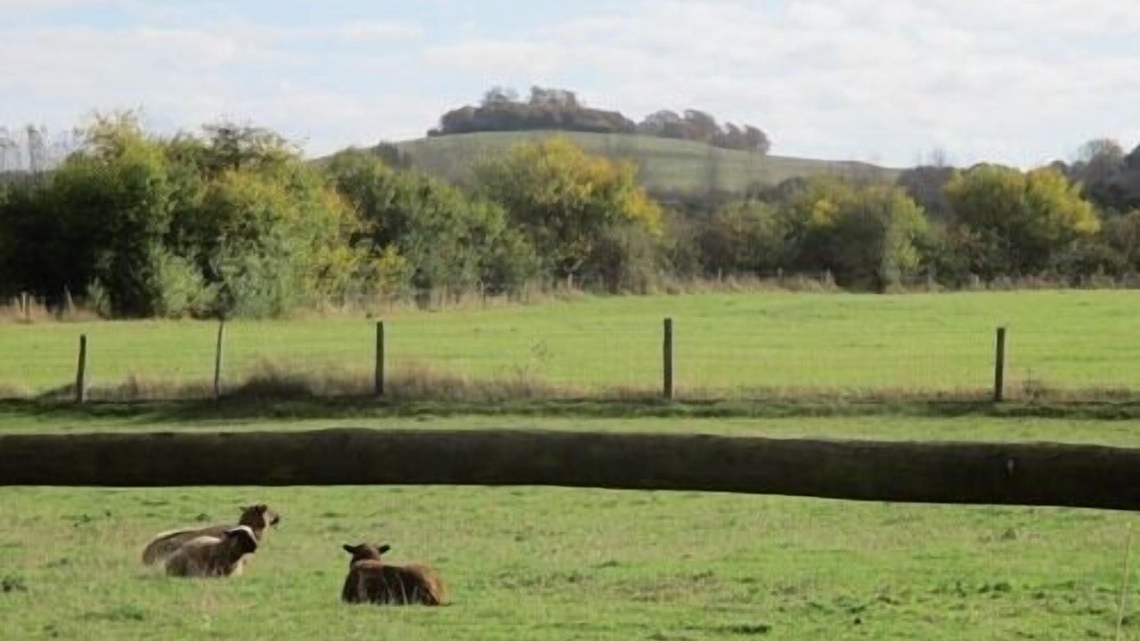 Photo of Others in Long Wittenham