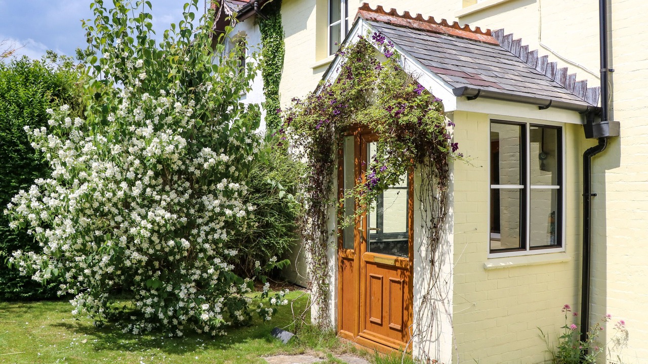 Photo of Outdoor in Maiden Newton