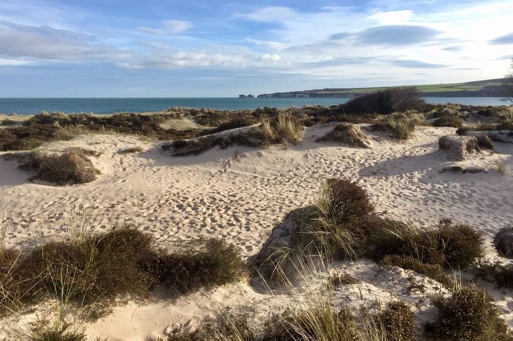 Photo of Others in Studland