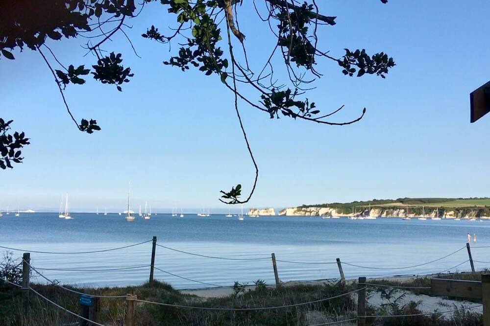Photo of Others in Studland