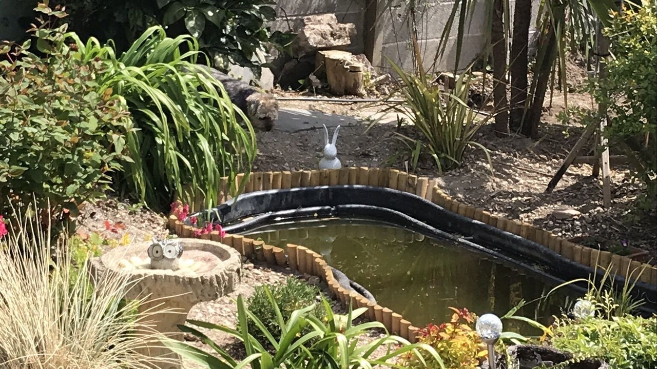 Photo of Outdoor in Egloshayle