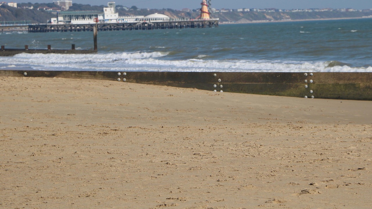 Photo of Others in St Leonards