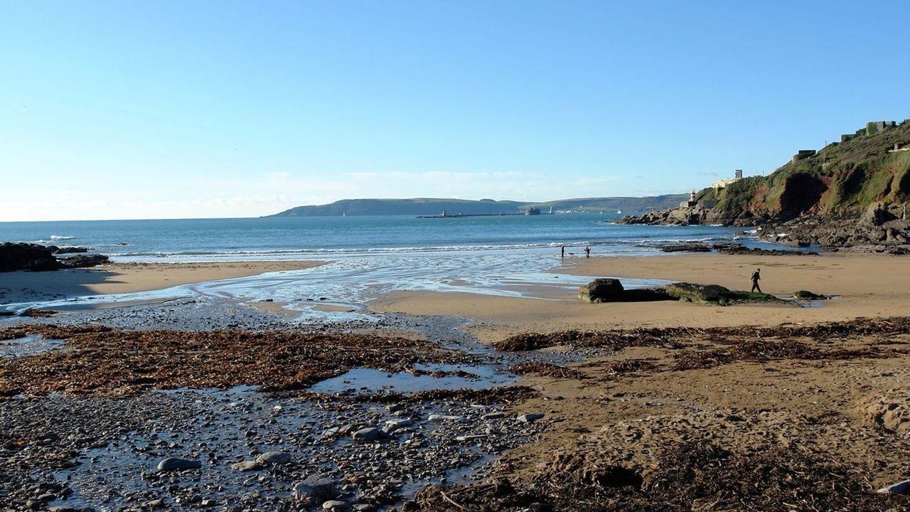 Photo of Others in Wembury