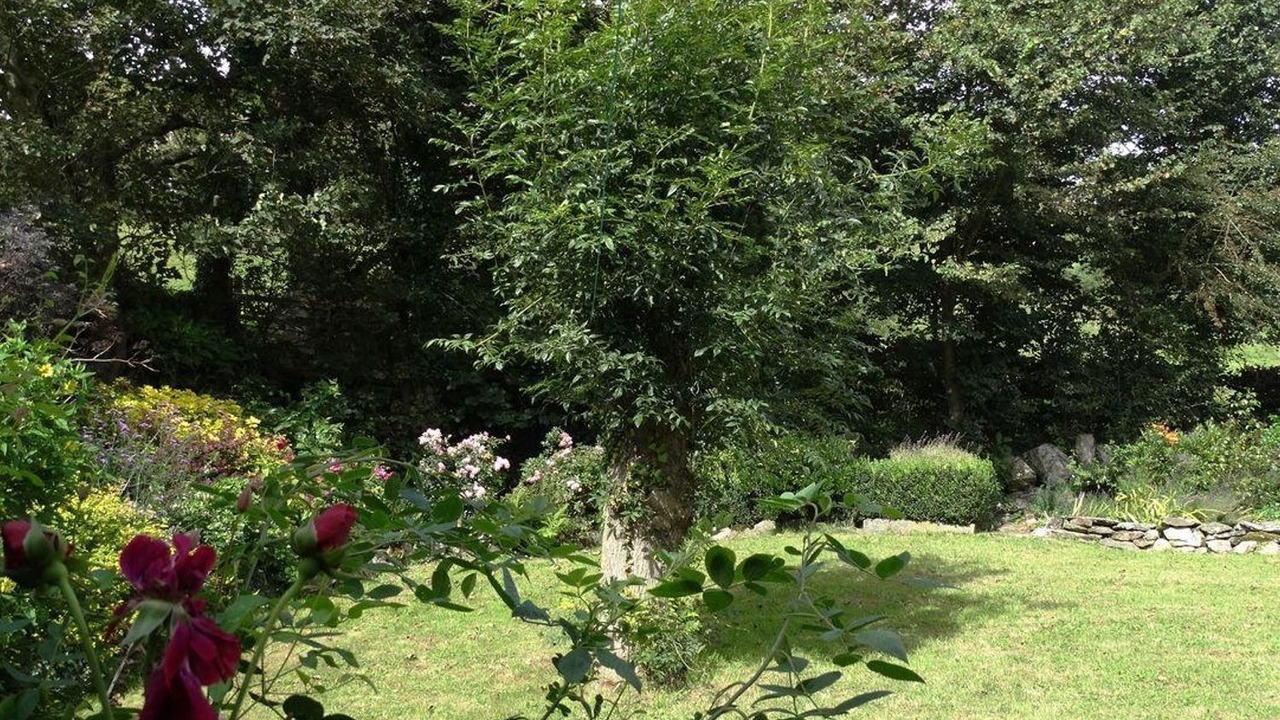 Photo of Outdoor in Wembury