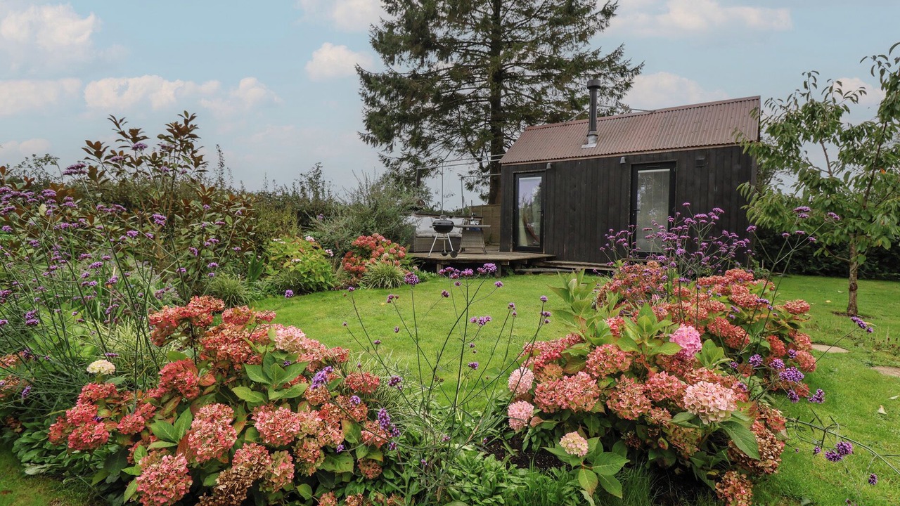 Photo of Outdoor in Zeals