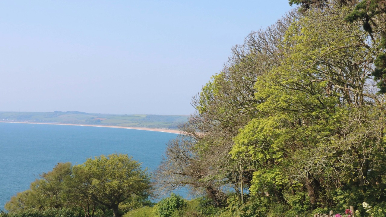 Photo of Others in Slapton