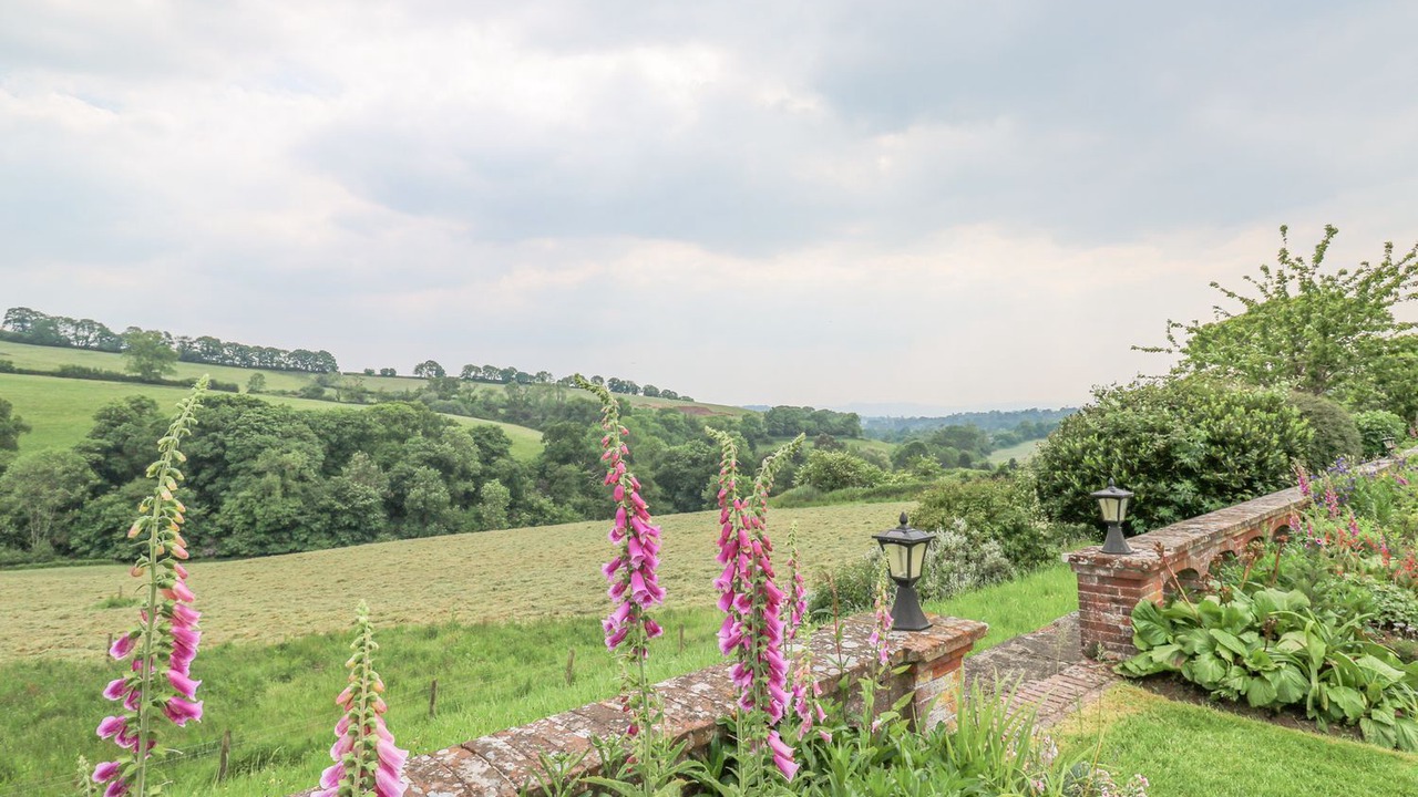 Photo of Outdoor in Heligan