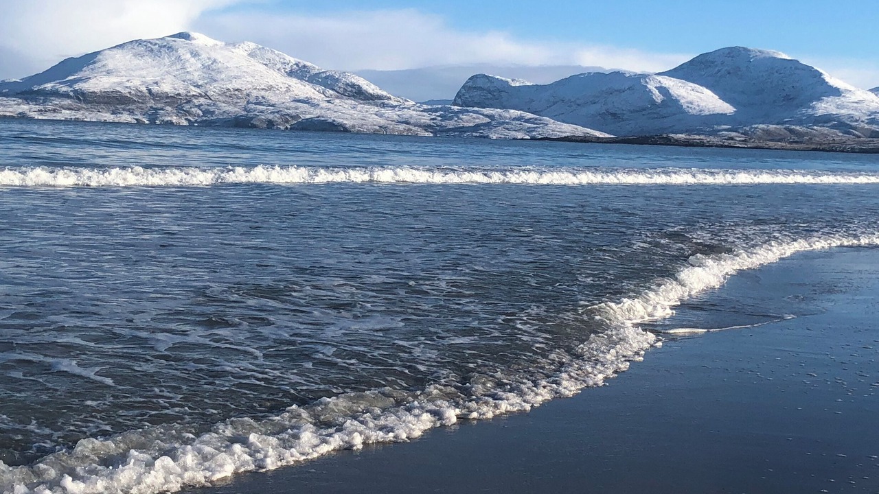 Photo of Others in Harris