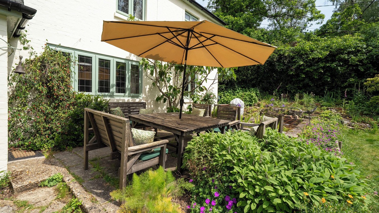 Photo of Outdoor in New Forest District