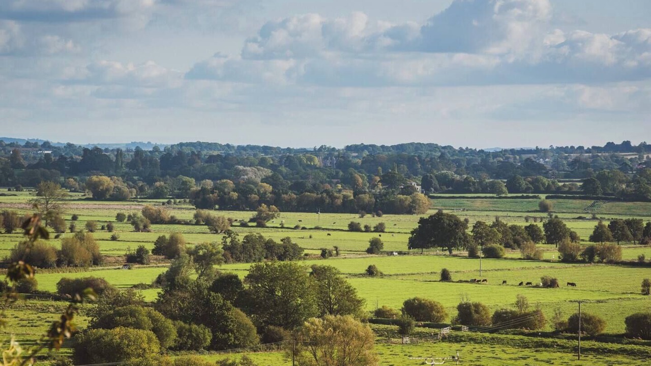 Photo of Outdoor in Glastonbury