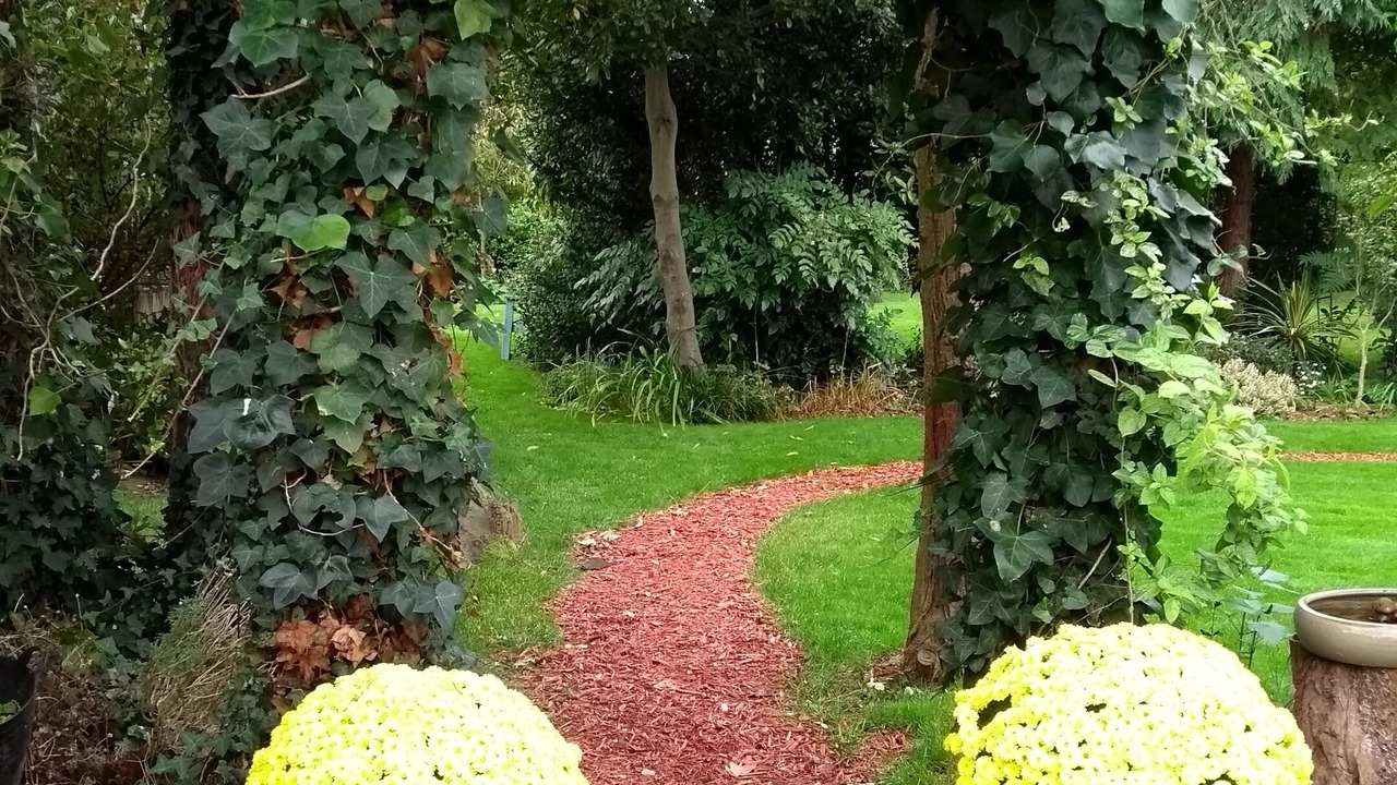 Photo of Outdoor in Chichester
