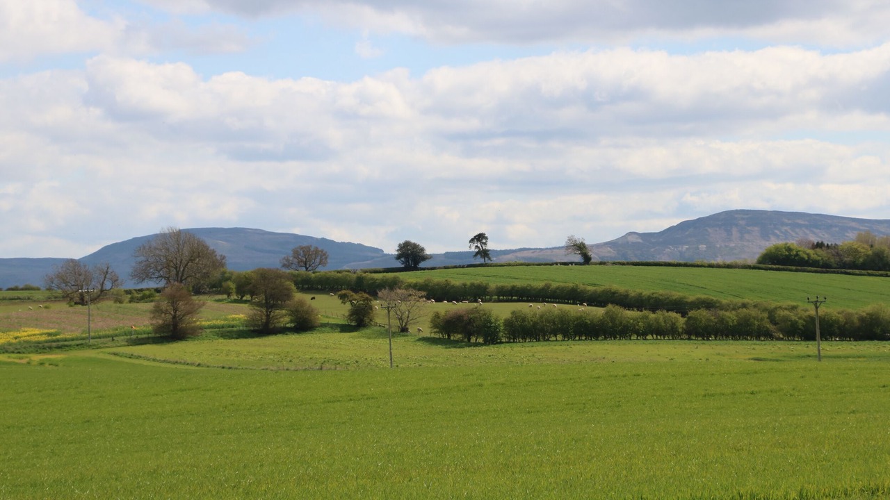 Photo of Others in Hutton Rudby