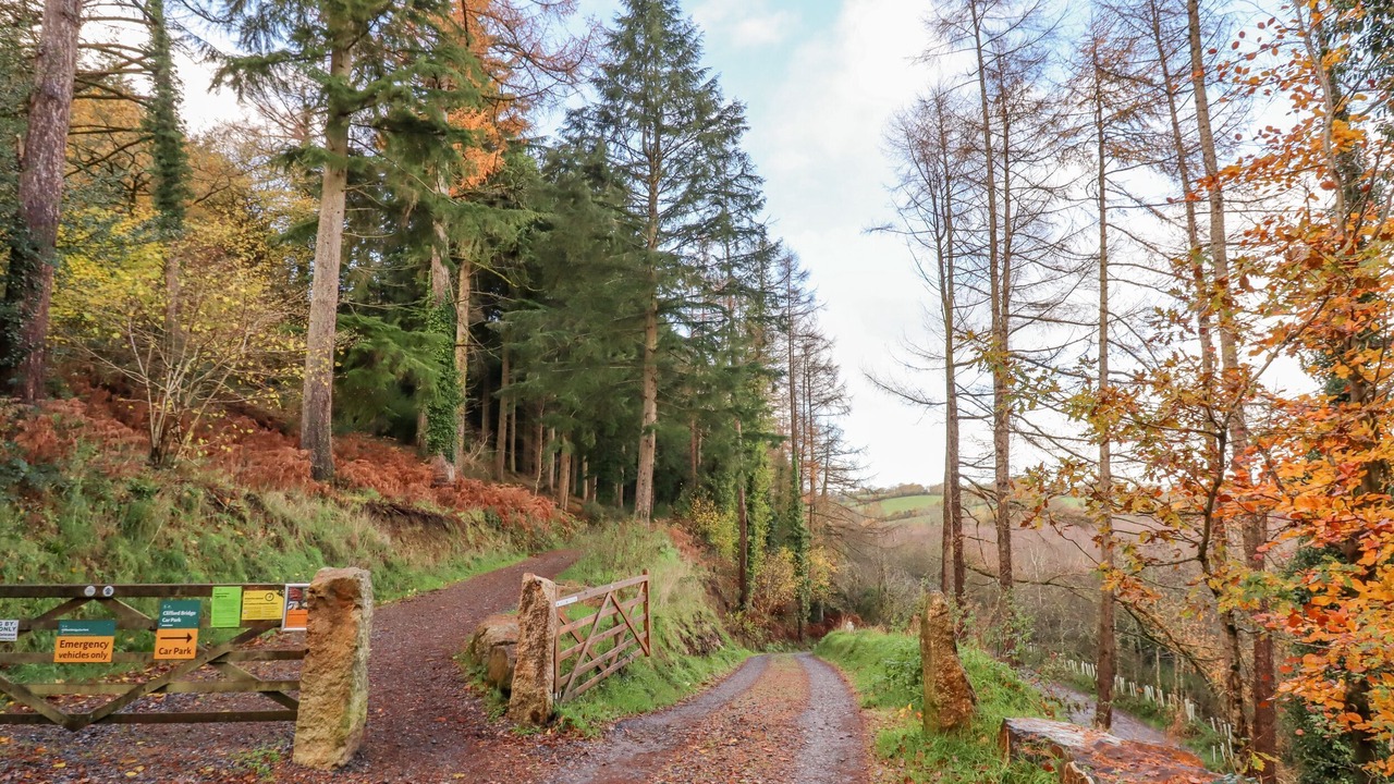 Photo of Outdoor in Moretonhampstead