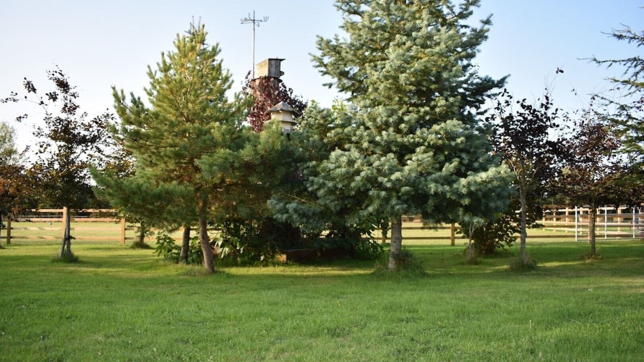 Photo of Outdoor in Clyst St Mary