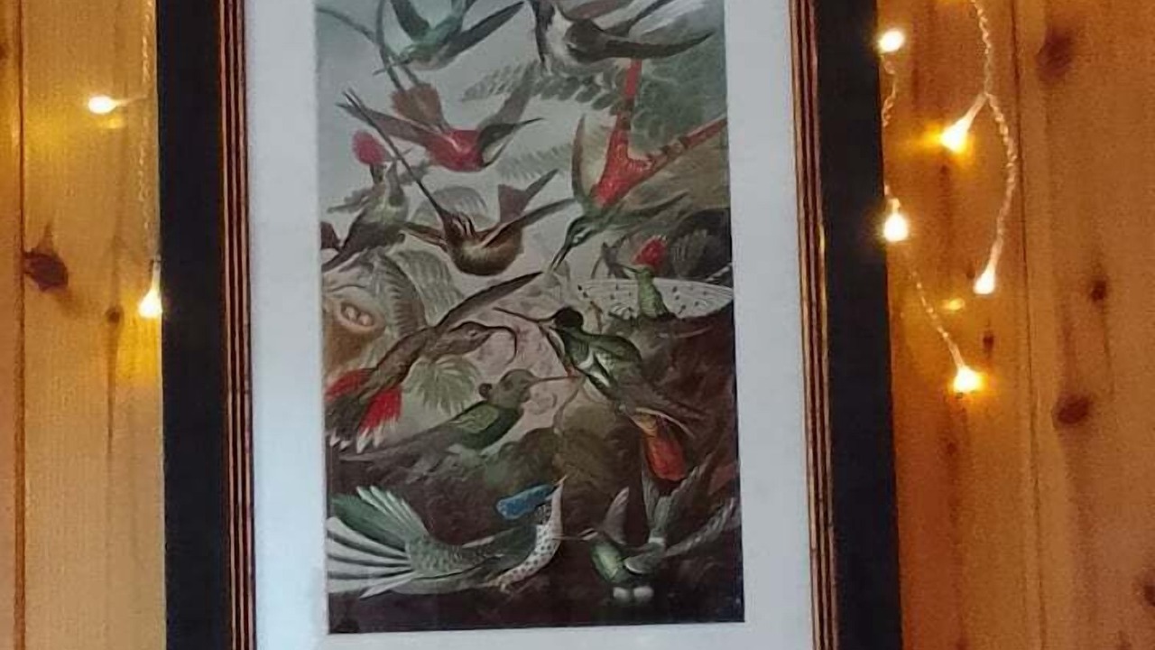 Photo of Others in Glastonbury