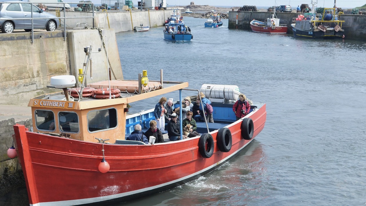 Photo of Others in Chathill