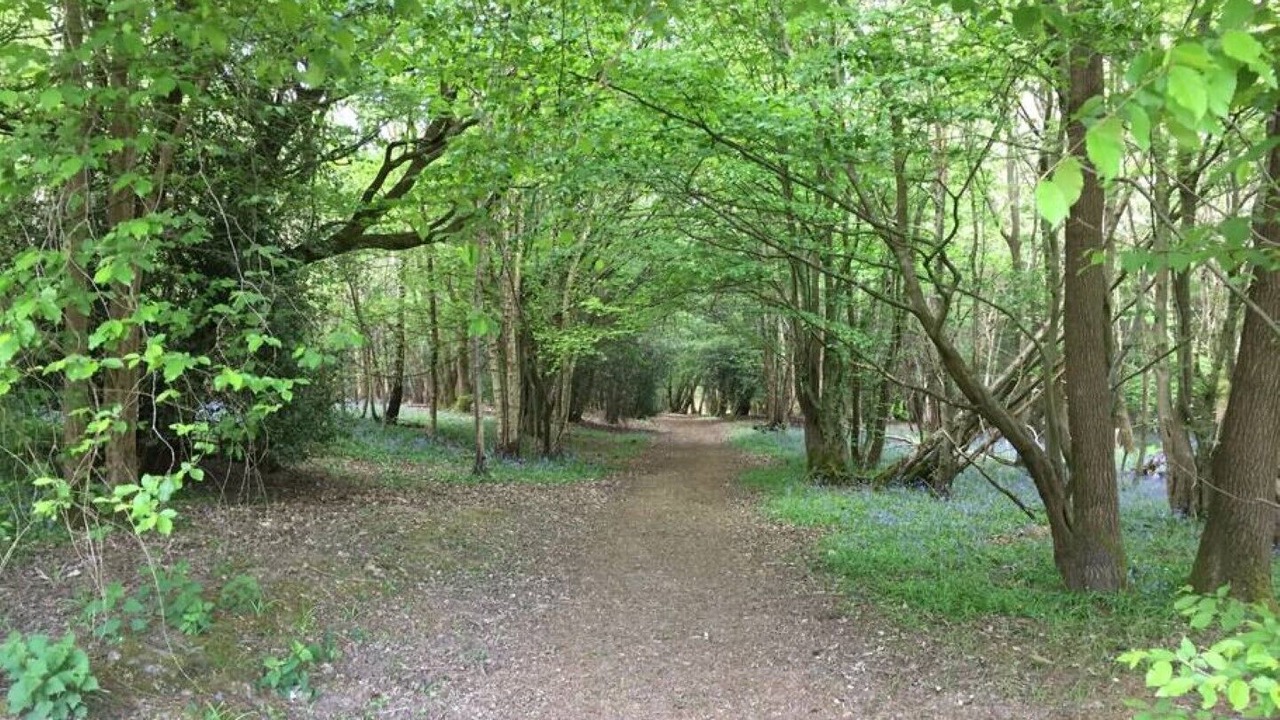Photo of Outdoor in Sheffield Green