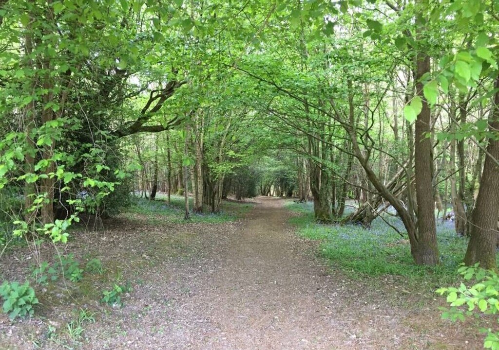 Photo of Others in Sheffield Green