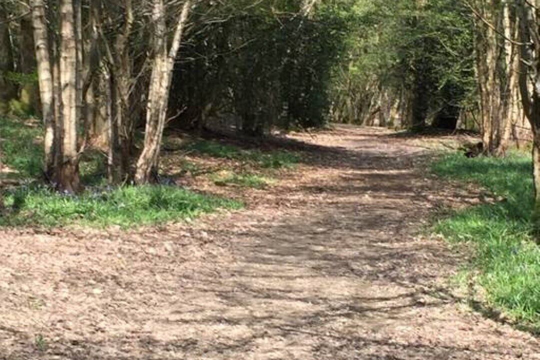 Photo of Outdoor in Sheffield Green