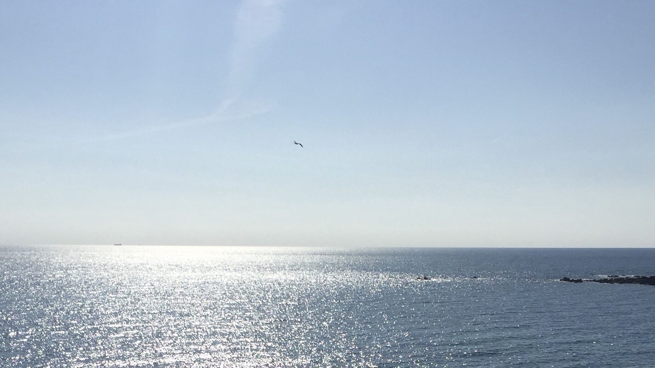 Photo of Others in Coverack