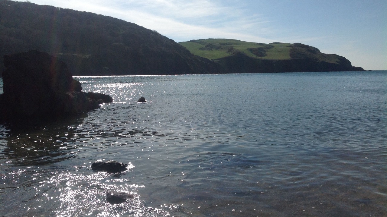 Photo of Others in Hope-Cove
