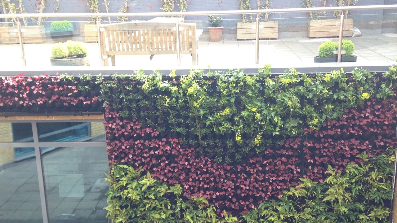 Photo of Outdoor in Newington
