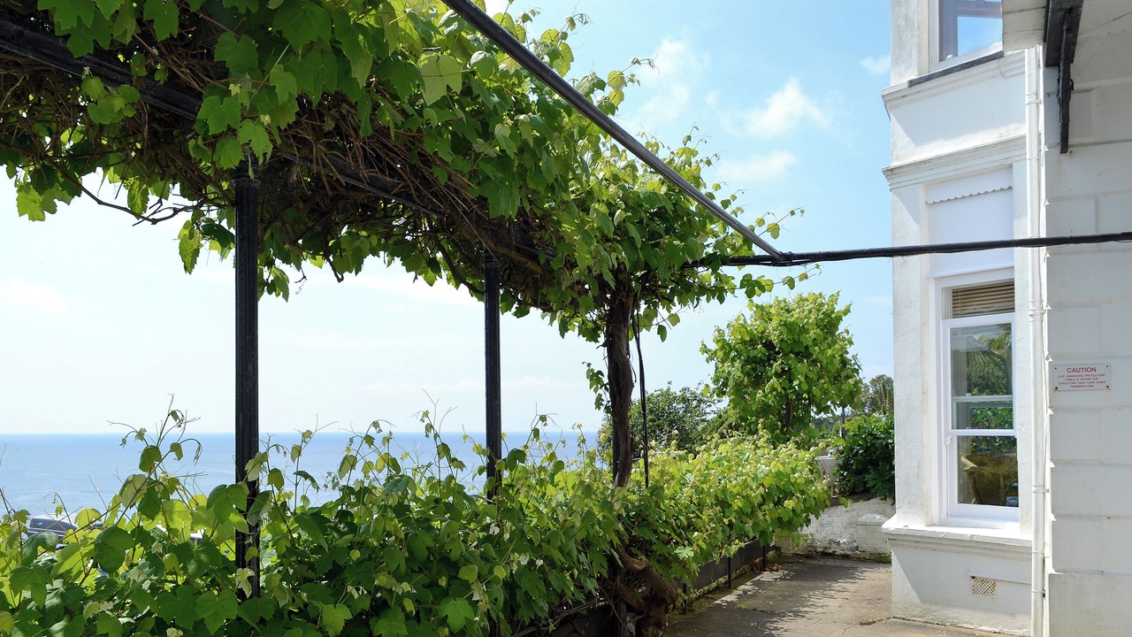 Photo of Outdoor in Fowey