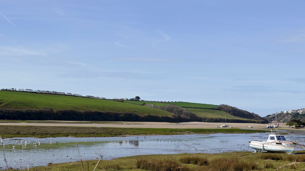 Photo of Others in Newquay