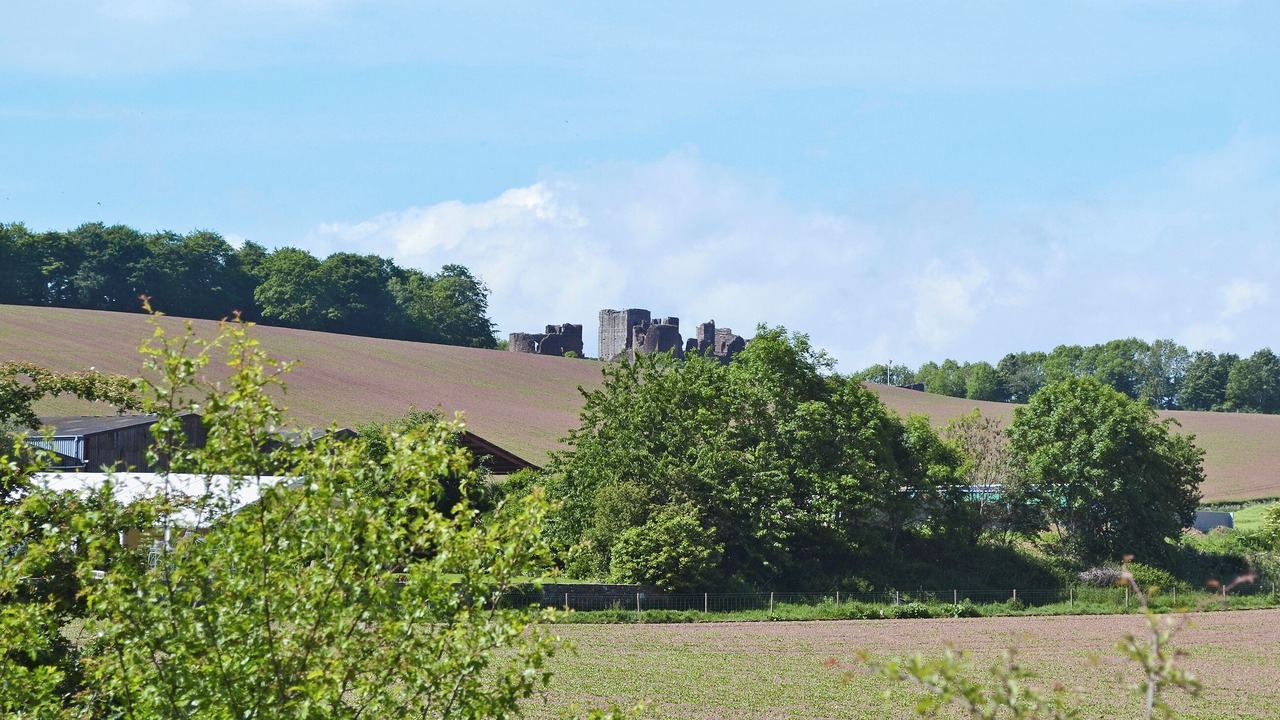 Photo of Others in Ledbury