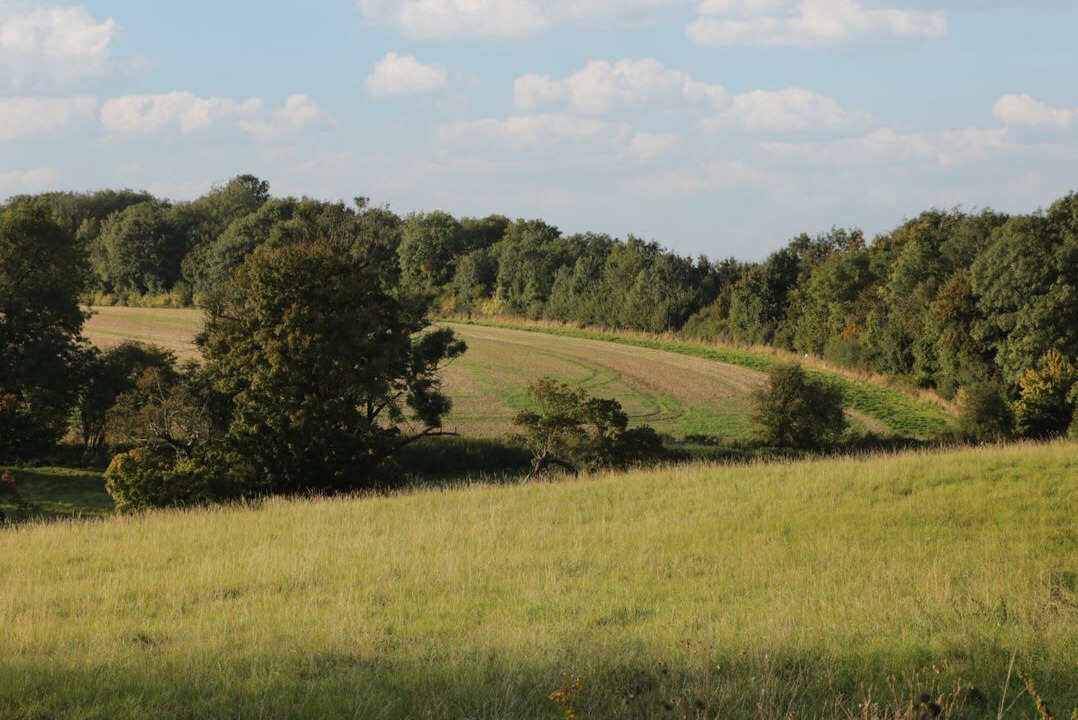 Photo of Others in Kemble