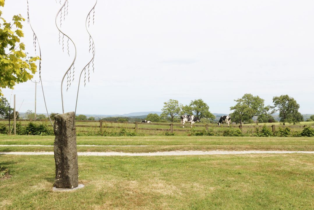 Photo of Others in Fence