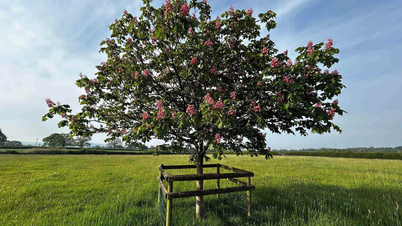 Photo of Others in West Knoyle