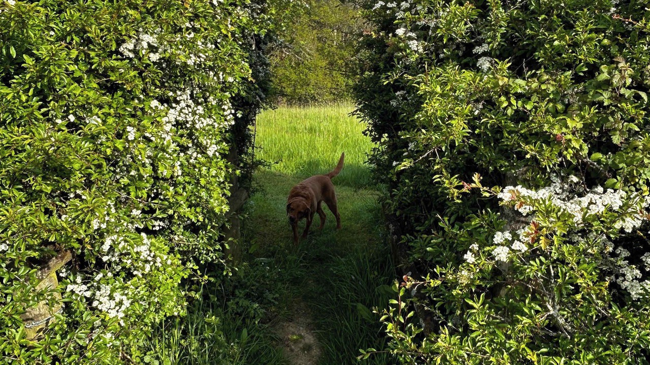 Photo of Others in West Knoyle