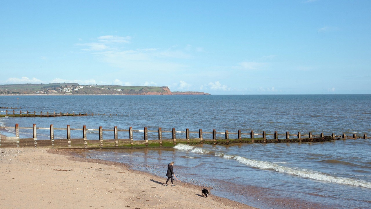 Photo of Others in Dawlish Warren