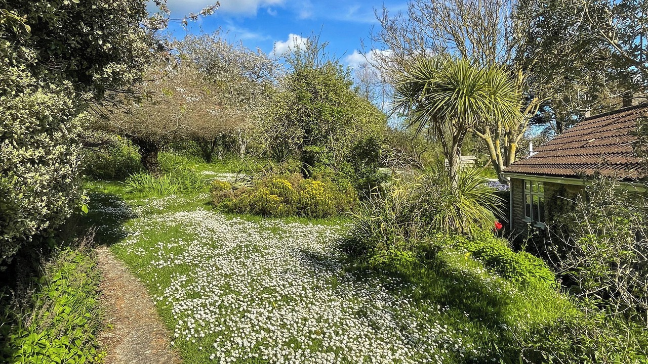 Photo of Outdoor in West Bexington