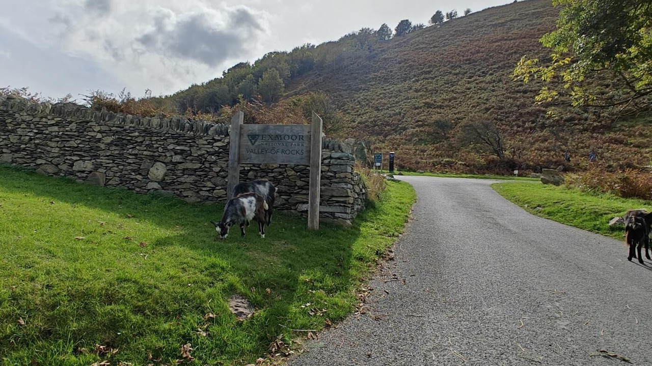 Photo of Others in Lynton