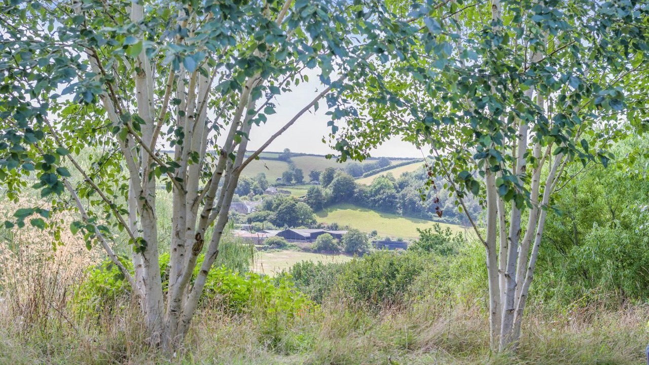 Photo of Others in Ashprington