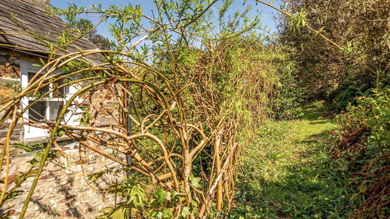 Photo of Outdoor in St Teath