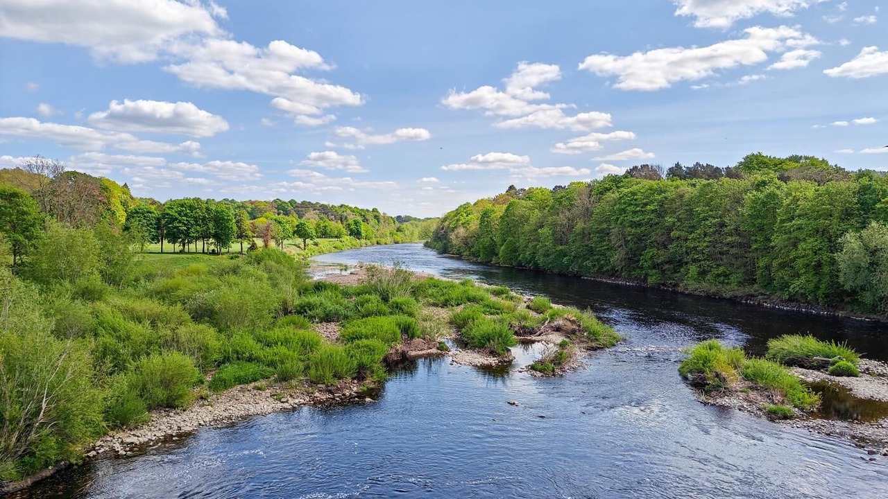 Photo of Others in Corbridge