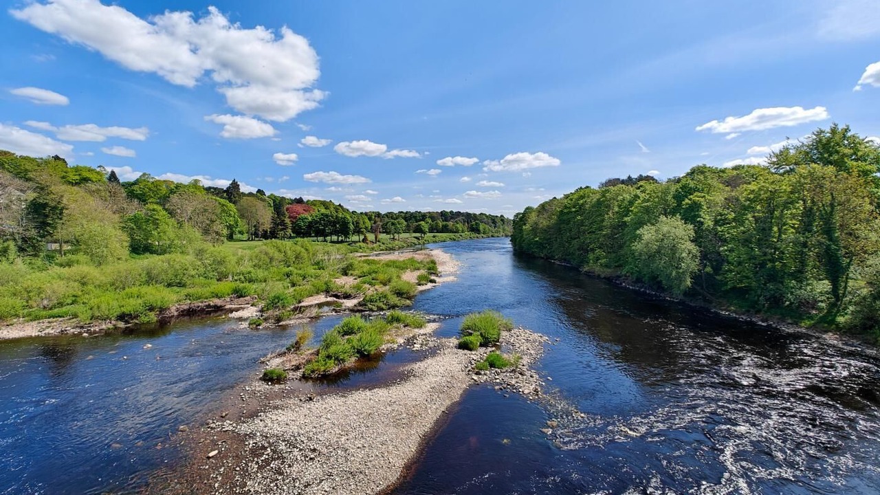 Photo of Others in Corbridge