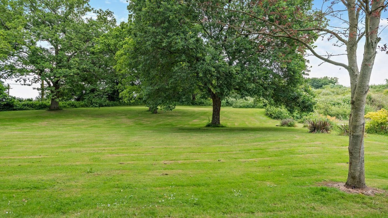 Photo of Others in Romsey