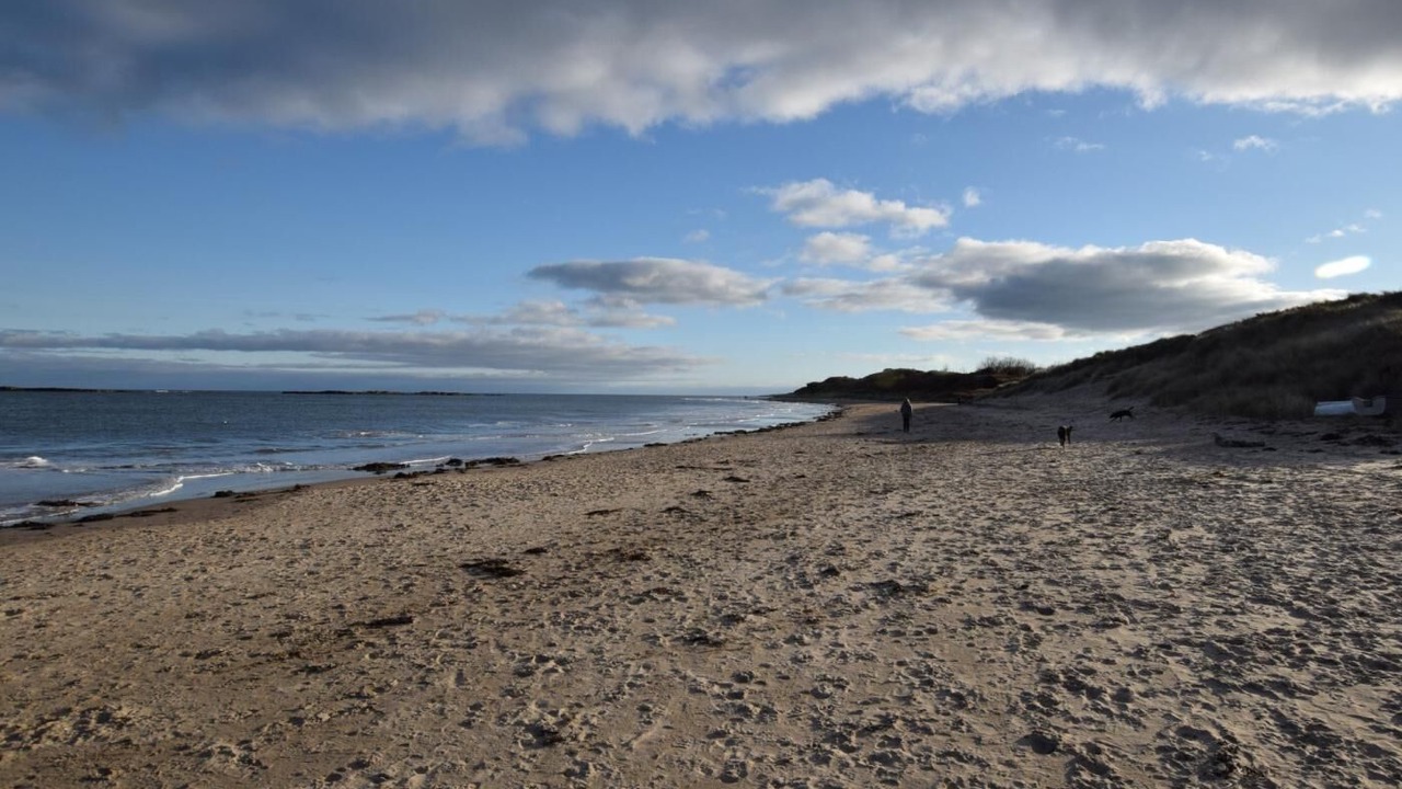 Photo of Others in Newton by the Sea