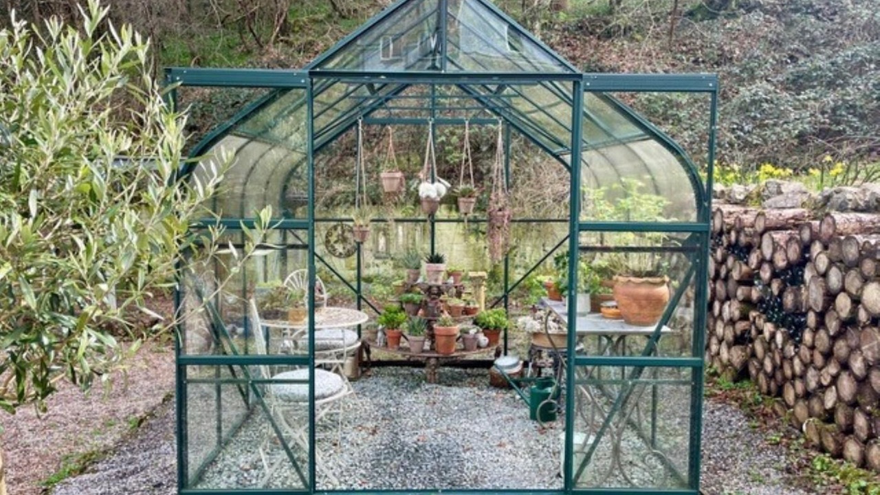 Photo of Outdoor in Heligan