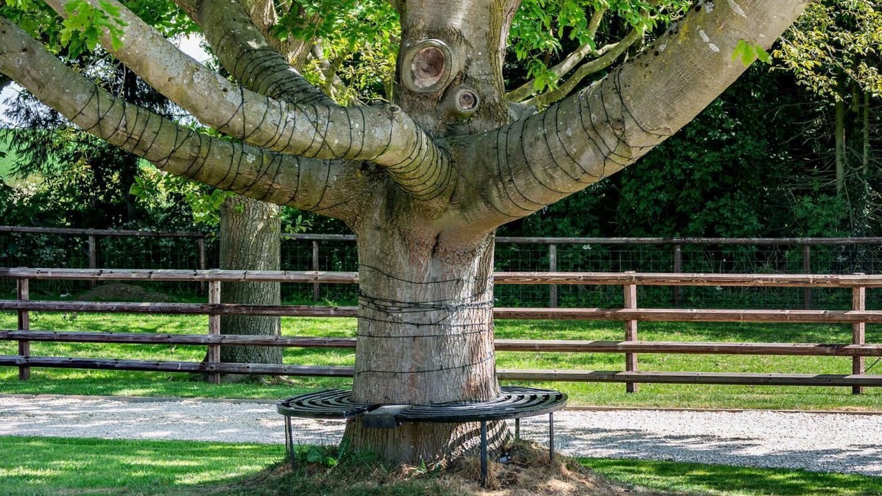Photo of Outdoor in Crayke