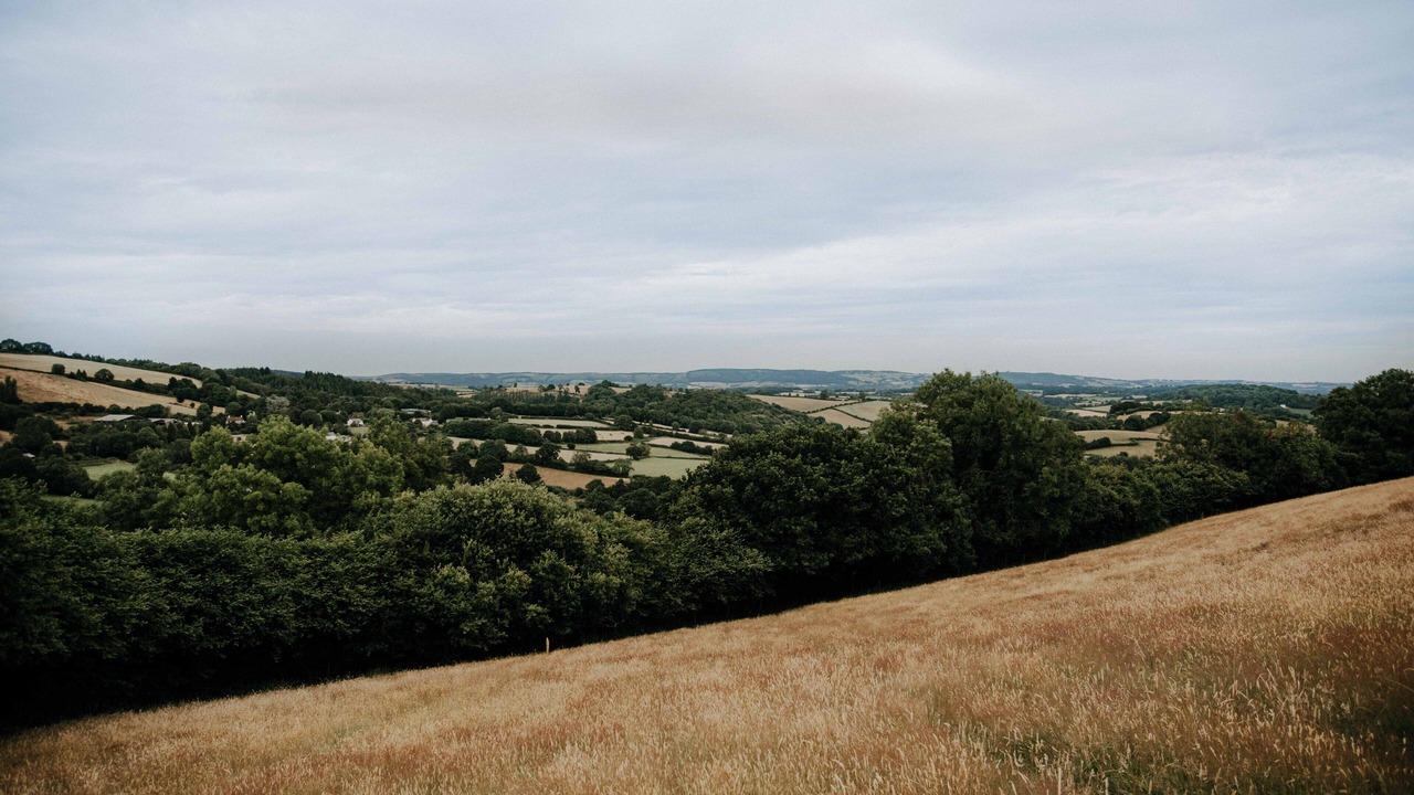 Photo of Others in Saint Blazey